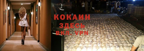 spice Алексин